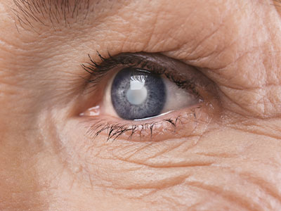 Clear Eye Care | Diabetic Eye Exams, Macular Degeneration Evaluation   Treatment and Glaucoma Diagnosis   Management